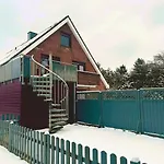 Zaunkoenigs Nest *