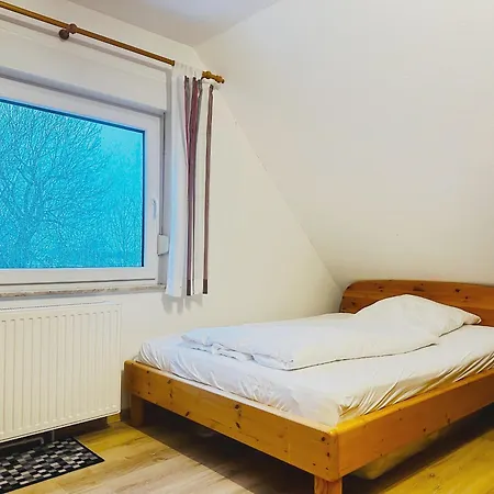 Zaunkoenigs Nest *
